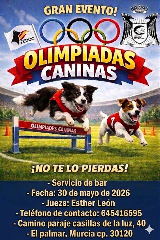 Murcia se prepara para la «Nueva Era» de la Obediencia Deportiva: Llegan las Olimpiadas Caninas de la FEDOC