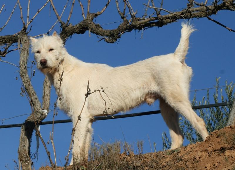 Valdueza